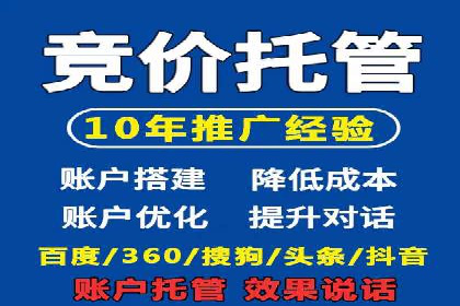 SEM推广案例：打造高效广告投放方案